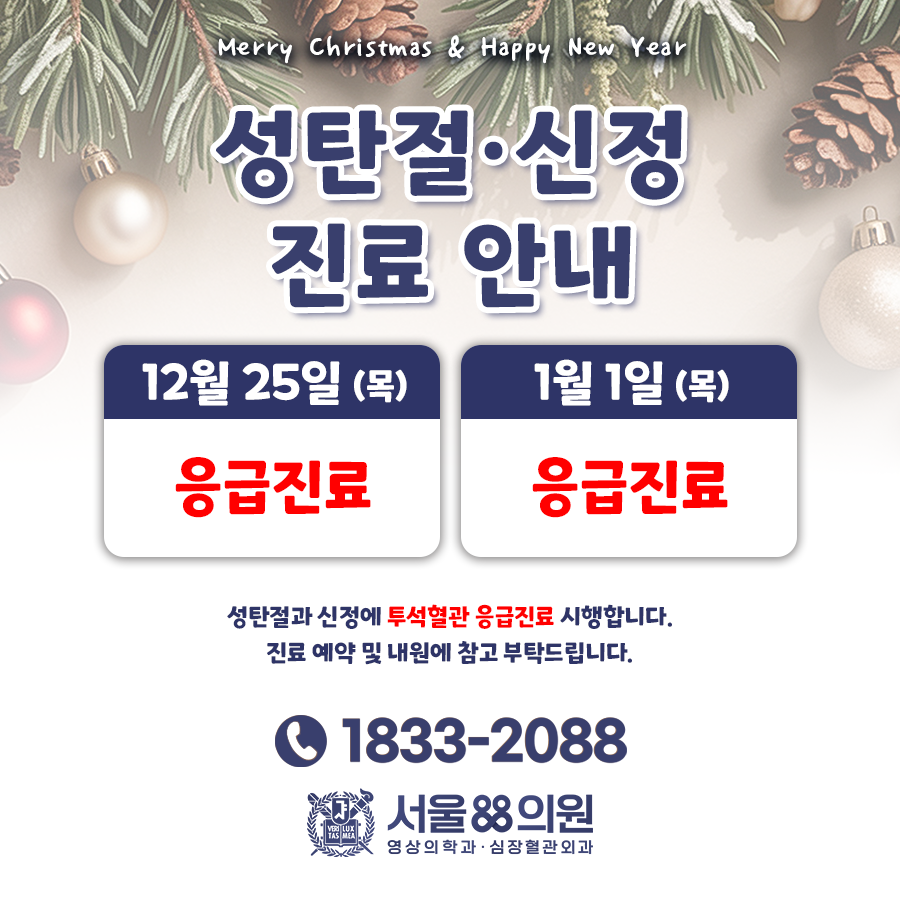 성탄절, 신정 투석혈관 응급진료 안내